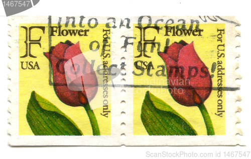 Image of Old postage stamps from USA flowers 