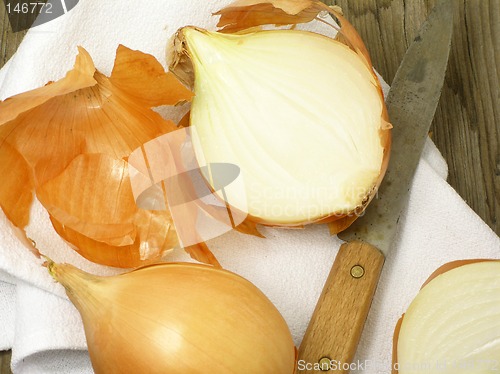 Image of Onions still life