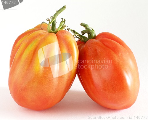 Image of Beef tomatoes close-up 2