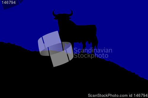 Image of bull