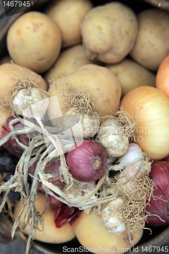 Image of Fresh collected from the farm field vegetables