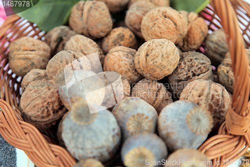Image of A pile of walnuts and poppy