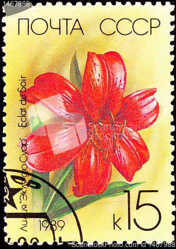 Image of Canceled Soviet Russia Postage Stamp Red Eclat du Soir Lily