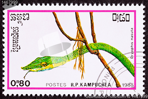 Image of Canceled Cambodian Postage Stamp Head Green Vine Snake Ahaetulla