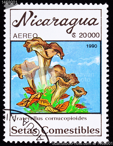 Image of Canceled Nicaragua Postage Stamp Clump Black Chanterelle Mushroo