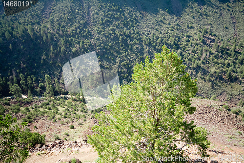 Image of Looking Down Into Rio Grande Gorge New Mexico