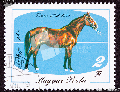 Image of Canceled Hungary Postage Stamp Hungarian Horse Breeds Furioso Is