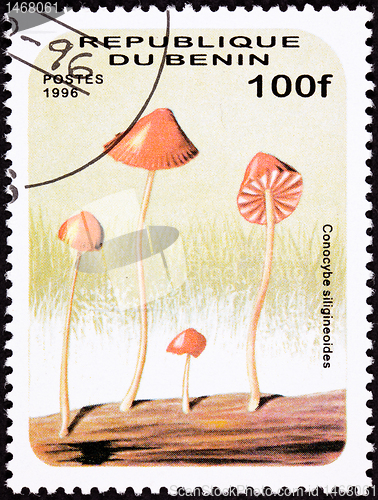 Image of Canceled Benin Postage Stamp Umbrella Shaped Psychedelic Mushroo