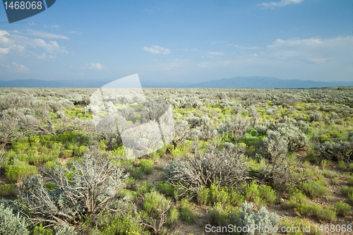 Image of High Desert Sage Brush North Central New Mexico Wide Angle