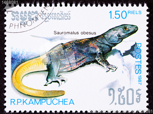 Image of Canceled Cambodian Postage Stamp Yellow Common Chuckwalla Saurom