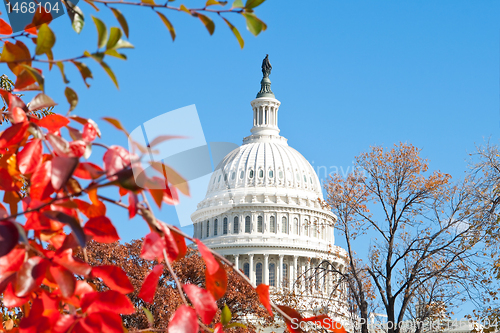Image of Autumn at the U.S. Capital Building Washington DC Red Leaves