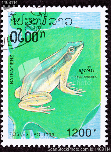 Image of Canceled Laotian Postage Stamp Sitting European Tree Frog Hyla A