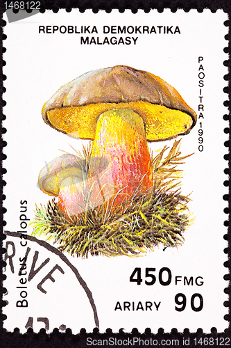 Image of Canceled Madagascar Postage Stamp Bitter Beech Bolete Mushroom, 