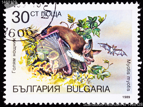 Image of Canceled Bulgarian Postage Stamp Greater Mouse-eared Bat Myotis 