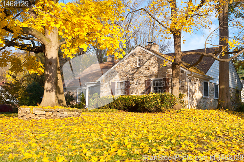 Image of House Philadelphia Yellow Fall Autumn Leaves Tree