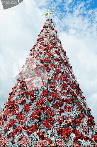 Image of Christmas Tree