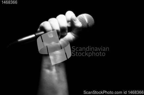 Image of Grayscale Microphone in Fist