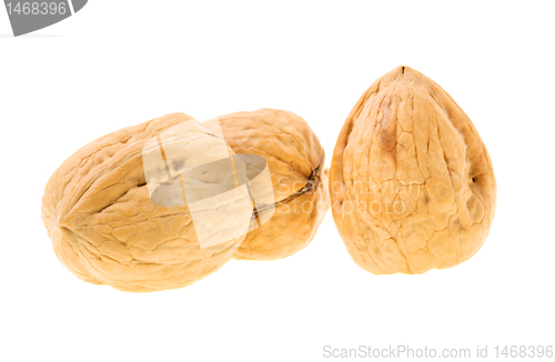 Image of Walnut
