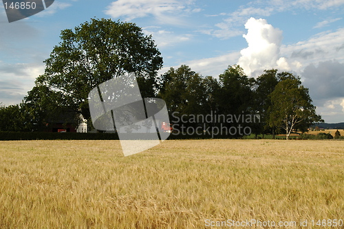 Image of Farmhouse in Eastern Norway