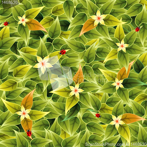 Image of Floral Pattern