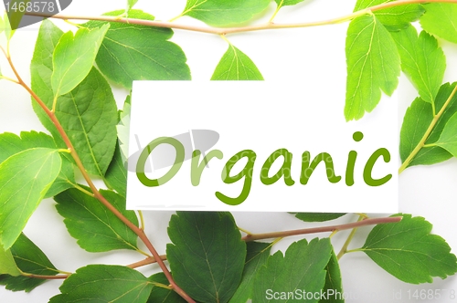 Image of organic