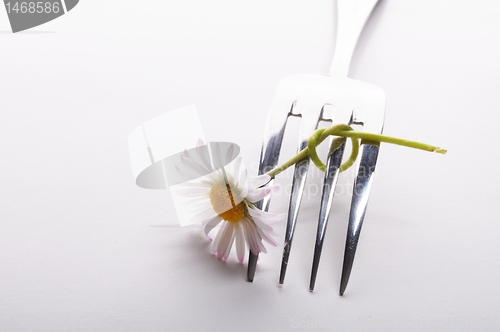 Image of flower and fork
