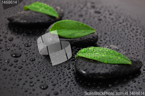 Image of zen stone wellness concept