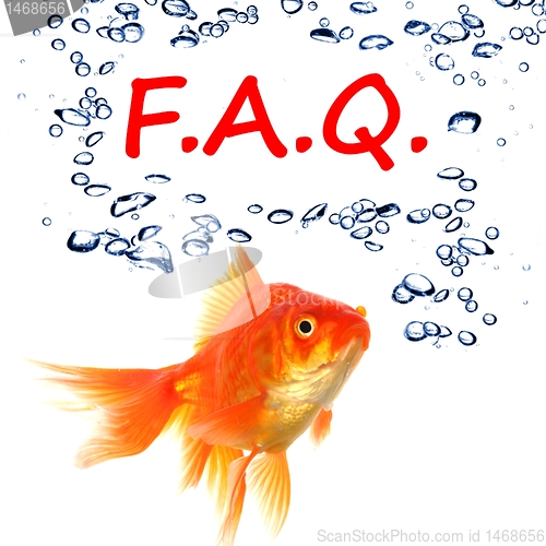 Image of faq
