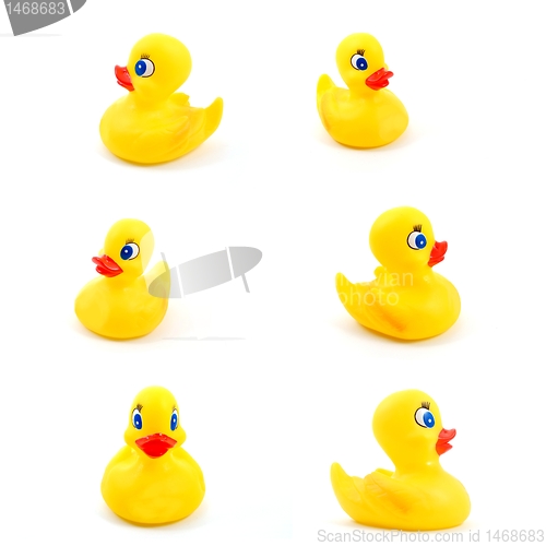 Image of toy rubber duck