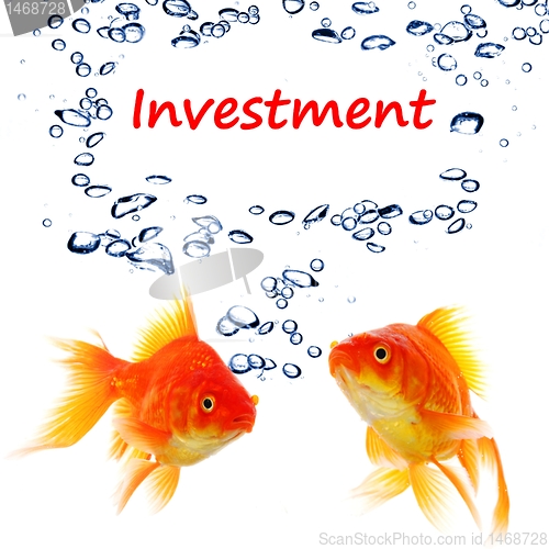 Image of investment