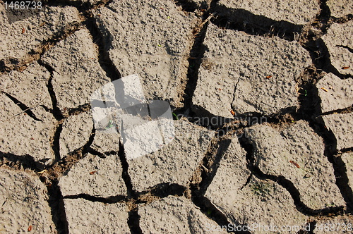 Image of dry soil