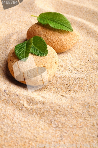 Image of zen stone and leaf