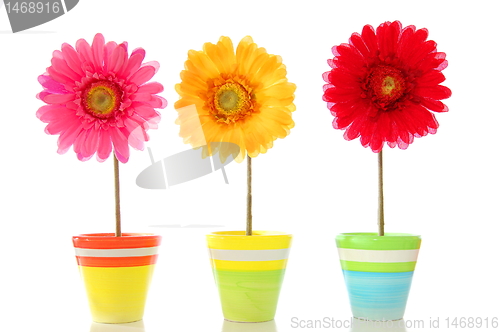 Image of happy flowers