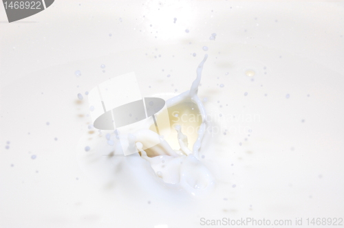 Image of milk splash