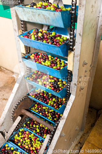 Image of Olive processing plant