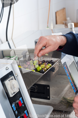 Image of Food laboratory