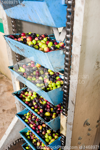 Image of Olive processing plant