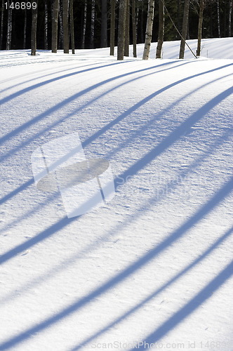 Image of Low shadows on snow.