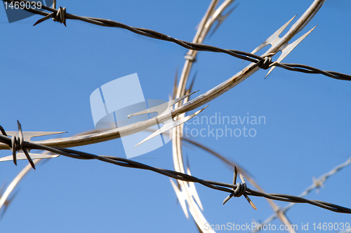 Image of Barbed Wire Razor Sharp Security Fence Dangerous
