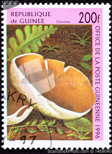 Image of Canceled Guinea Postage Stamp Chestnut Mushroom, Velvet Pioppino