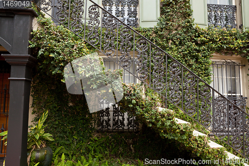 Image of Ivy Covered Staircase Outside Home Savannah Georgia Wrought Iron