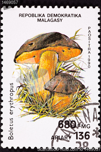Image of Canceled Madagascar Postage Stamp Clump Dotted Stem Bolete Bolet