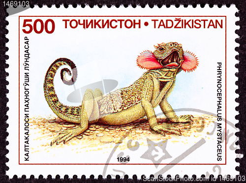 Image of Canceled Tajikistan Postage Stamp Neck Flap Agamid Lizard Phryno