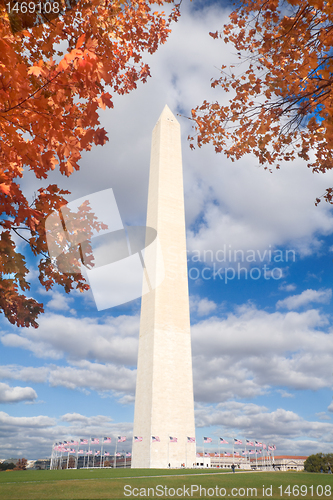 Image of Washington Monument Autumn Framed Leaves Blue Sky