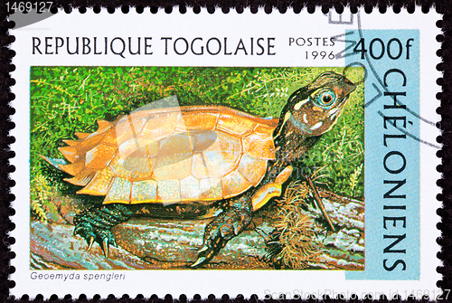 Image of Togan Postage Stamp Vietnamese Leaf Black-breasted Hill Turtle G