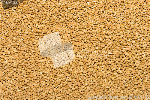 Image of Full Frame Corn Meal Bird Food Pellets, Shanghai, China