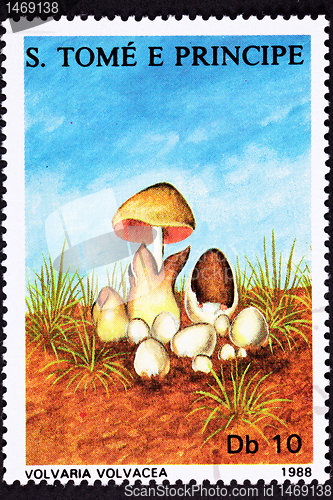 Image of SÃ£o TomÃ© Postage Stamp Paddy Straw Mushroom Volvaria Volvacea