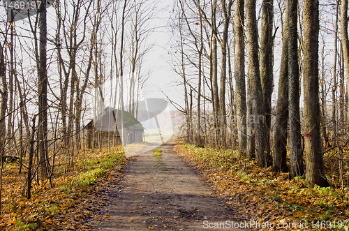 Image of Abandoned house near gravel road and autumn trees.