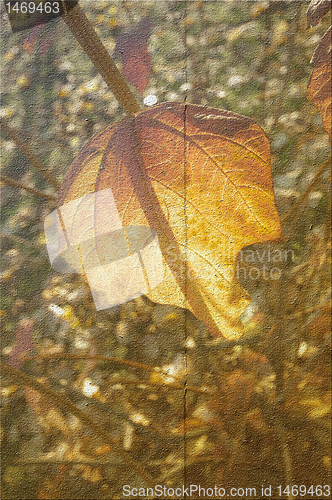 Image of autumn background