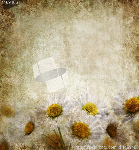 Image of Grunge Floral Background